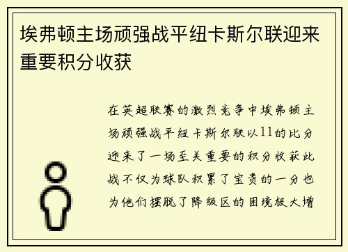 埃弗顿主场顽强战平纽卡斯尔联迎来重要积分收获